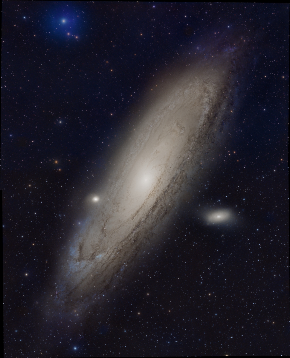 M31