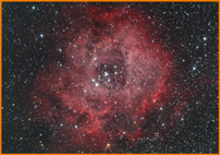 Roseta