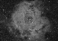 Roseta