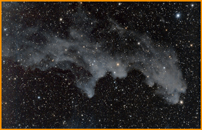 IC2118