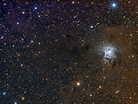 NGC7023