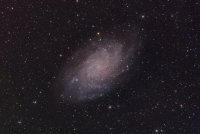 M33
