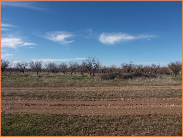 corrales